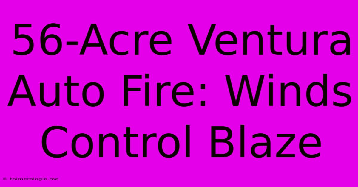 56-Acre Ventura Auto Fire: Winds Control Blaze