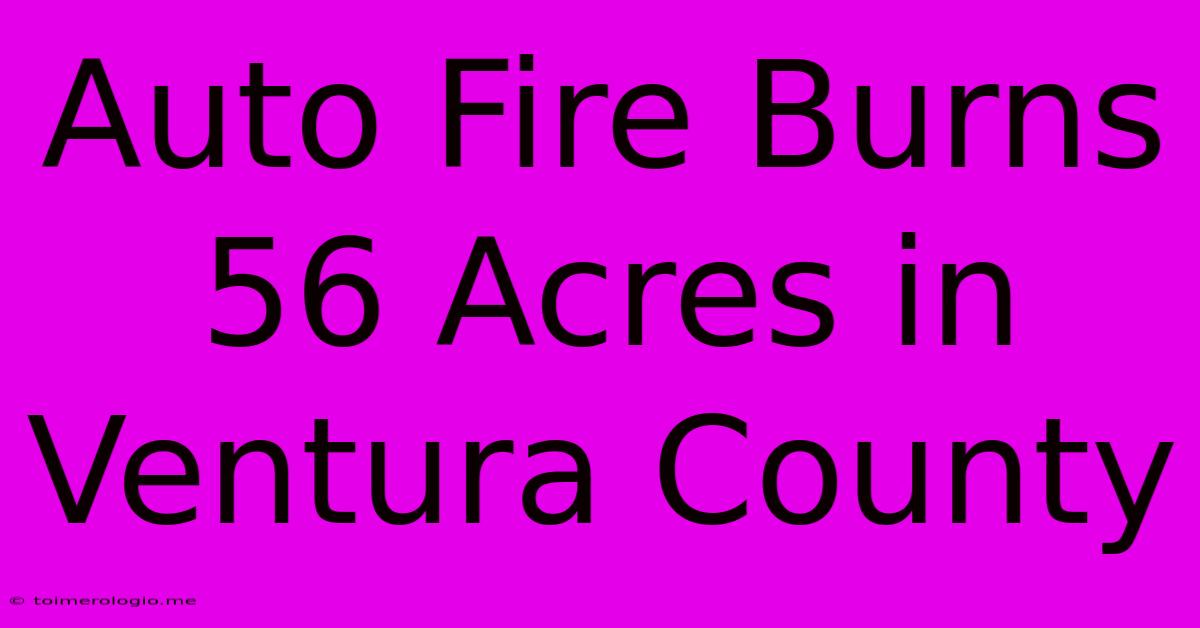 Auto Fire Burns 56 Acres In Ventura County