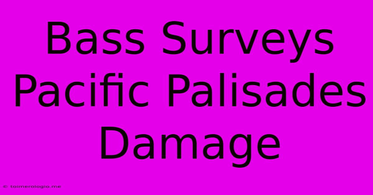 Bass Surveys Pacific Palisades Damage