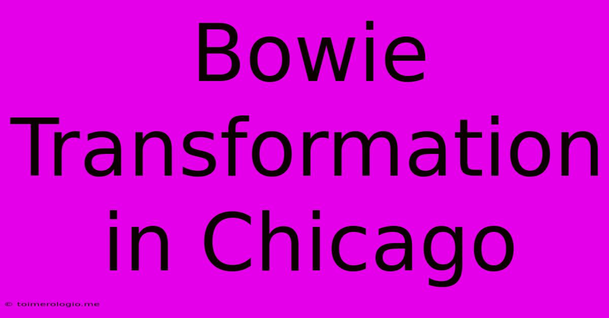 Bowie Transformation In Chicago