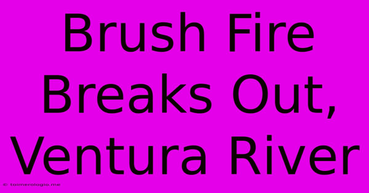 Brush Fire Breaks Out, Ventura River