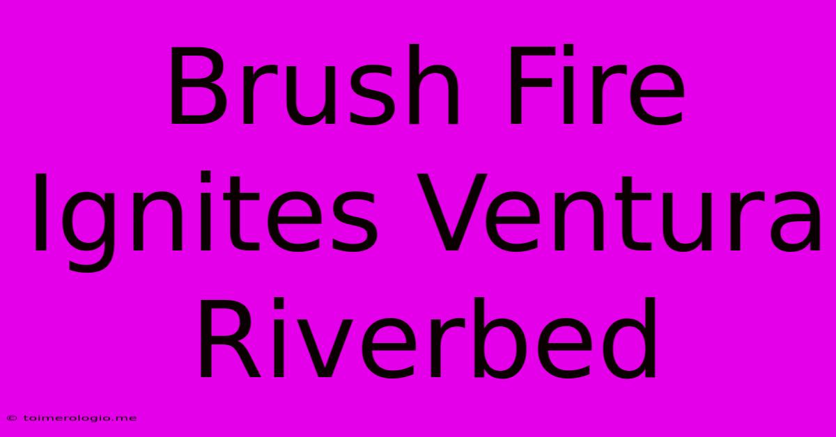 Brush Fire Ignites Ventura Riverbed