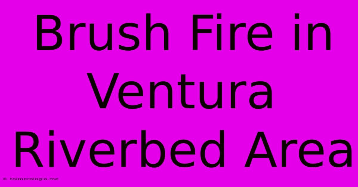 Brush Fire In Ventura Riverbed Area