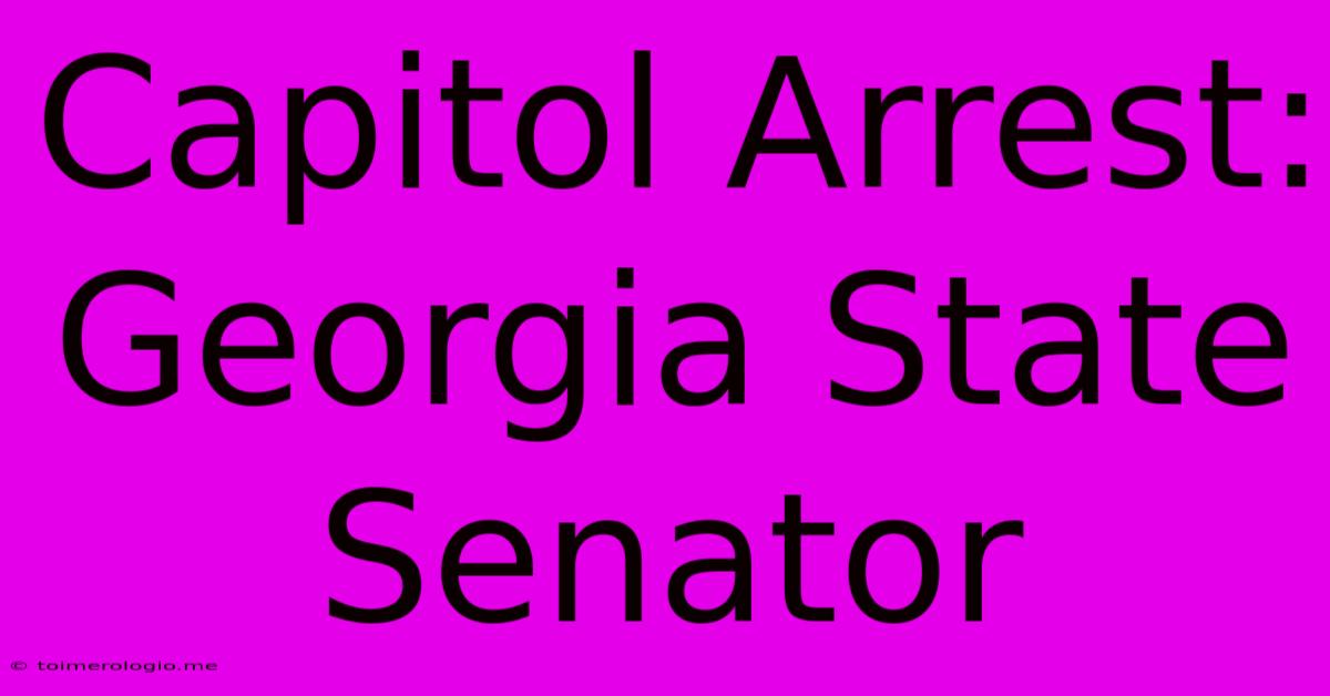 Capitol Arrest: Georgia State Senator