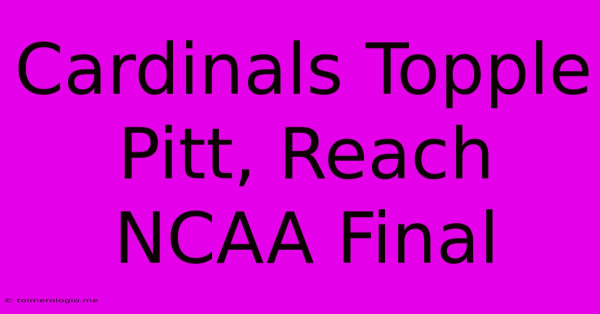 Cardinals Topple Pitt, Reach NCAA Final