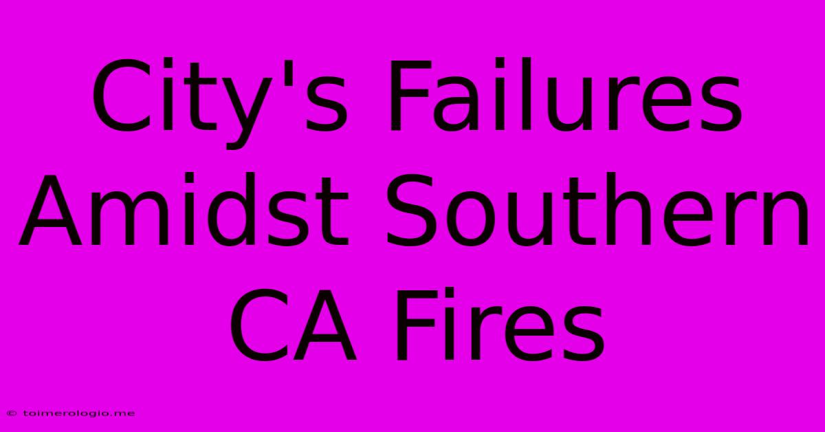 City's Failures Amidst Southern CA Fires