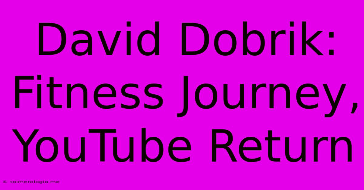 David Dobrik: Fitness Journey, YouTube Return