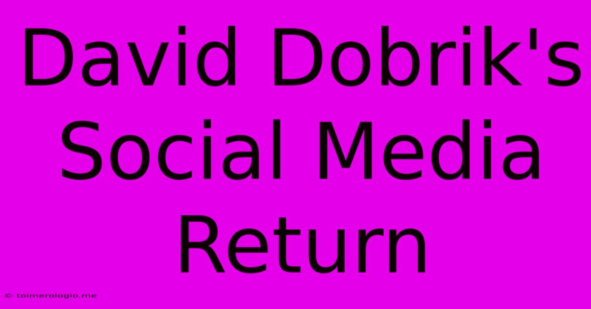 David Dobrik's Social Media Return