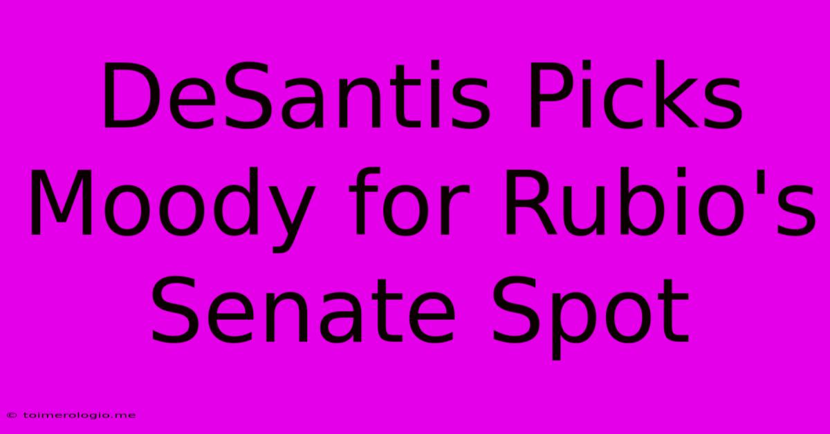 DeSantis Picks Moody For Rubio's Senate Spot