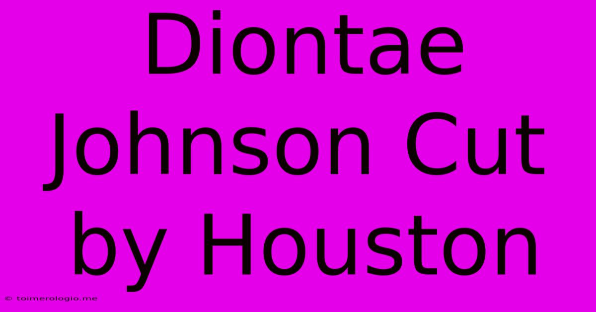 Diontae Johnson Cut By Houston