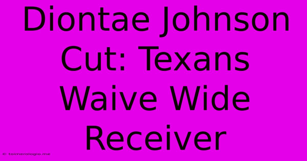 Diontae Johnson Cut: Texans Waive Wide Receiver