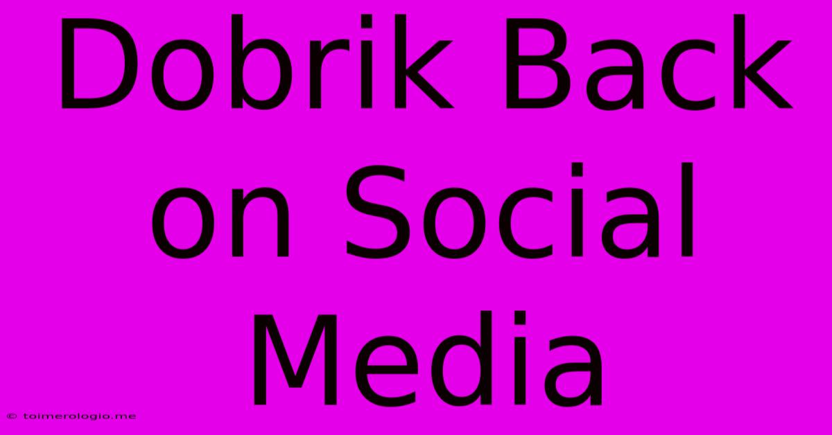 Dobrik Back On Social Media