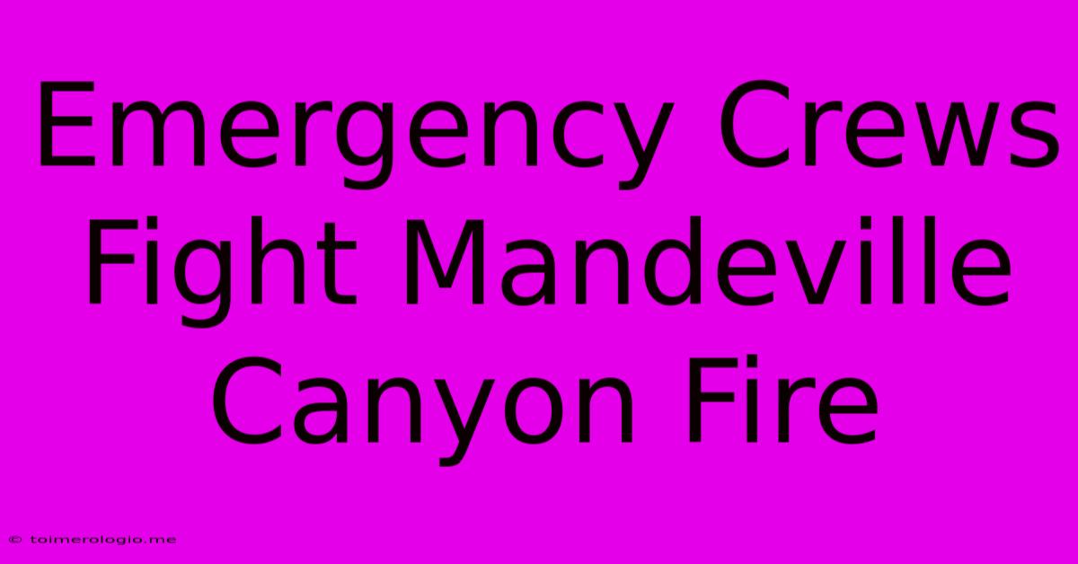 Emergency Crews Fight Mandeville Canyon Fire