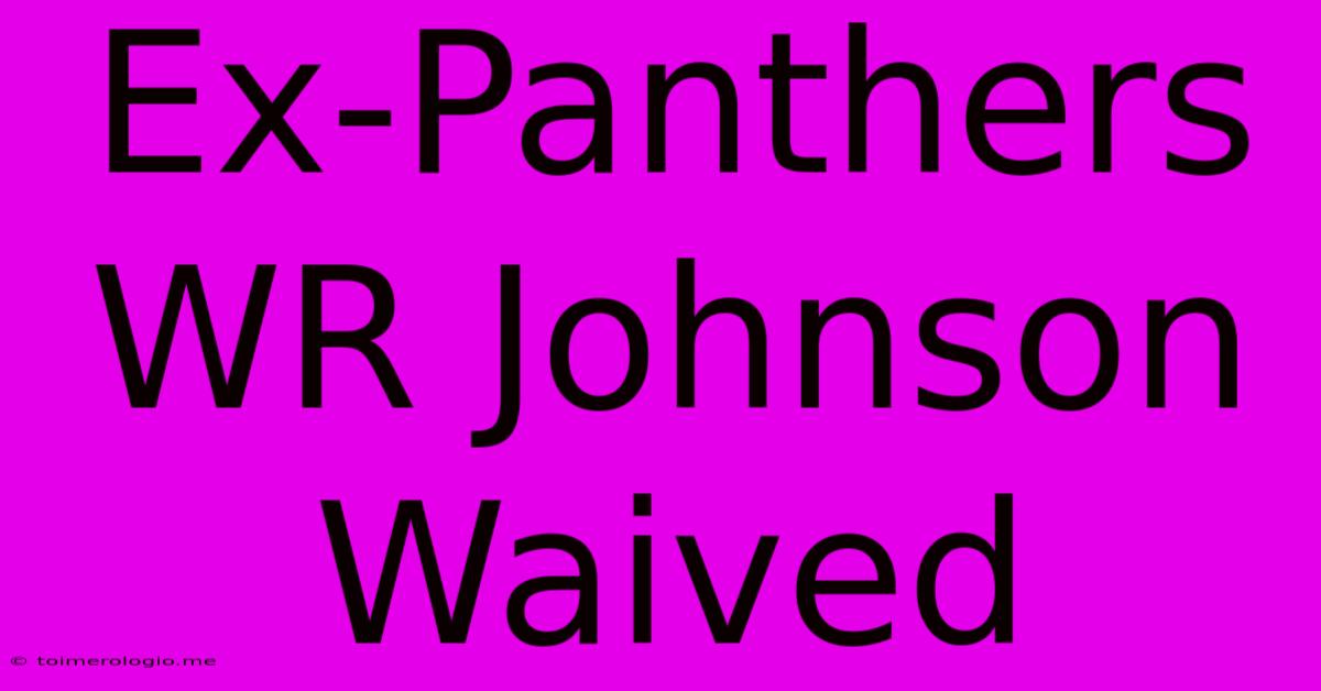 Ex-Panthers WR Johnson Waived