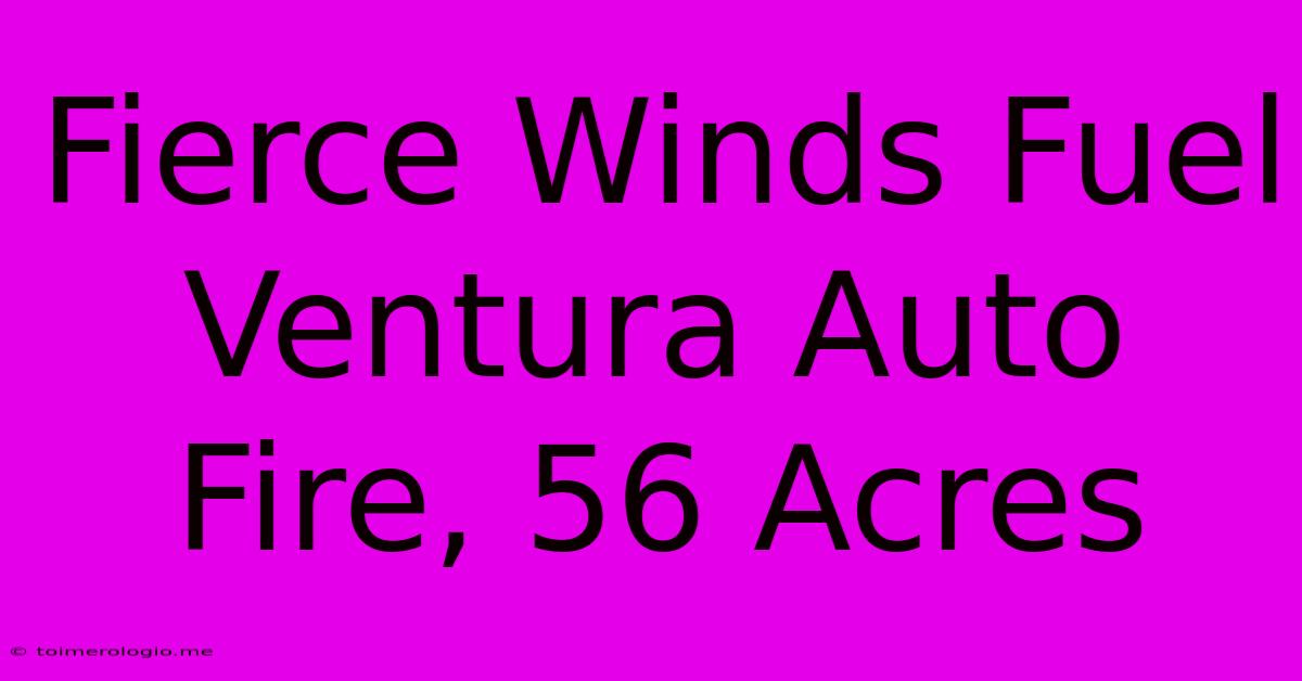 Fierce Winds Fuel Ventura Auto Fire, 56 Acres