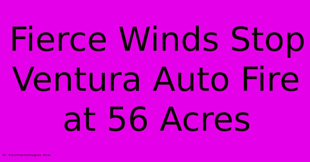 Fierce Winds Stop Ventura Auto Fire At 56 Acres