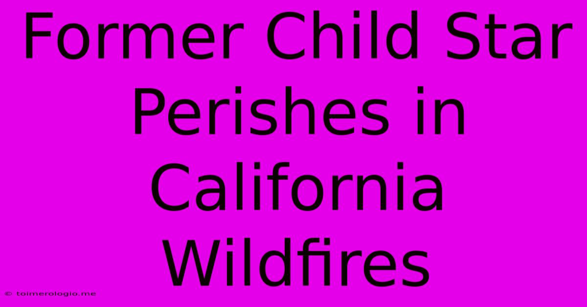 Former Child Star Perishes In California Wildfires