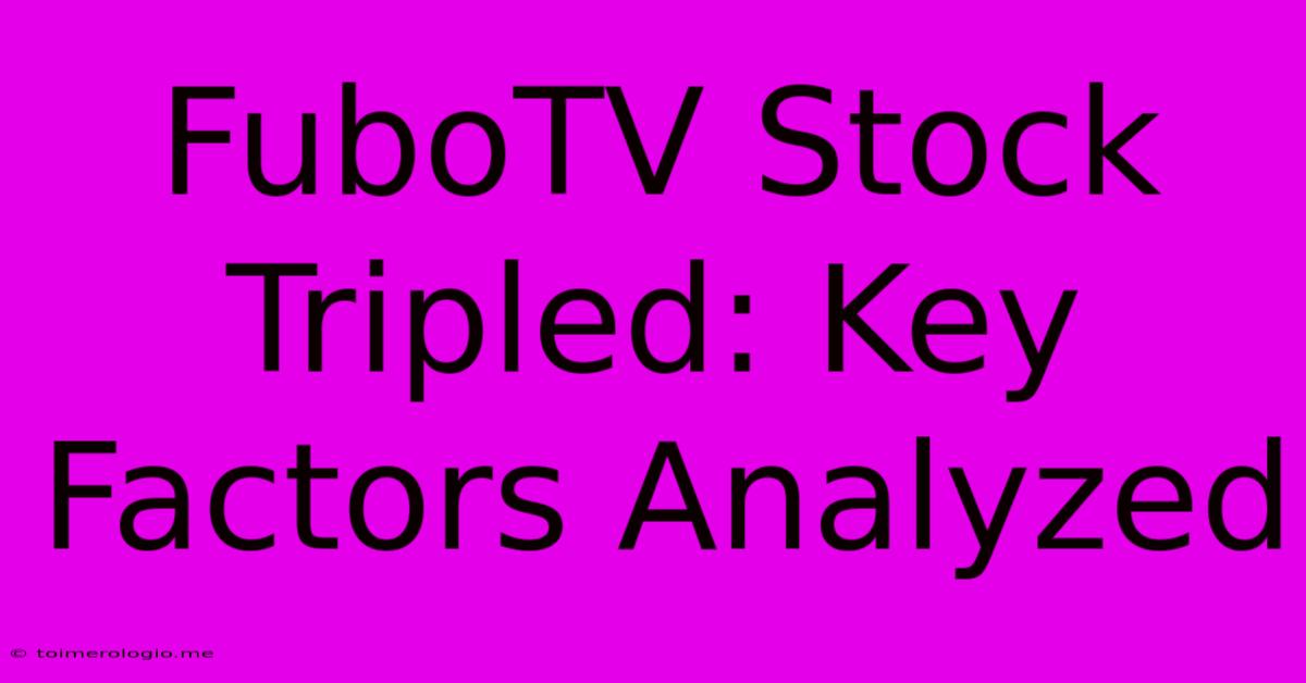 FuboTV Stock Tripled: Key Factors Analyzed