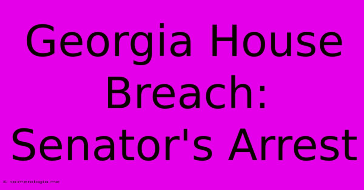 Georgia House Breach: Senator's Arrest