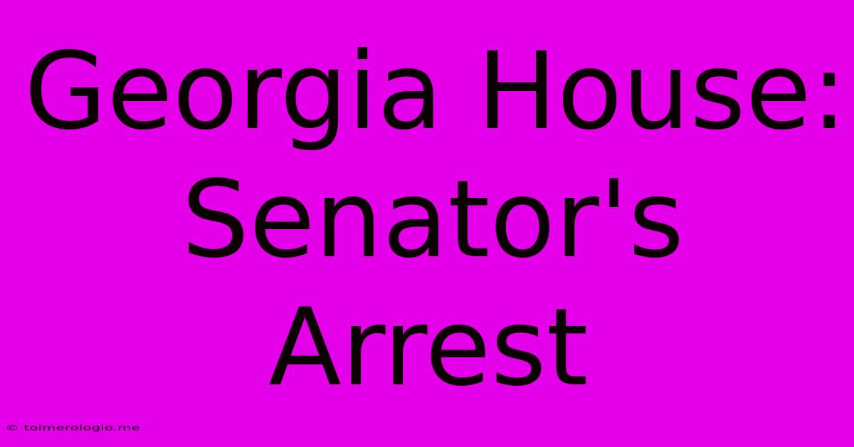 Georgia House: Senator's Arrest