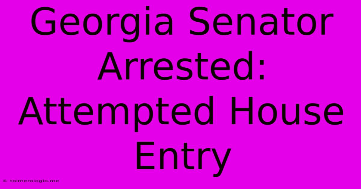 Georgia Senator Arrested: Attempted House Entry