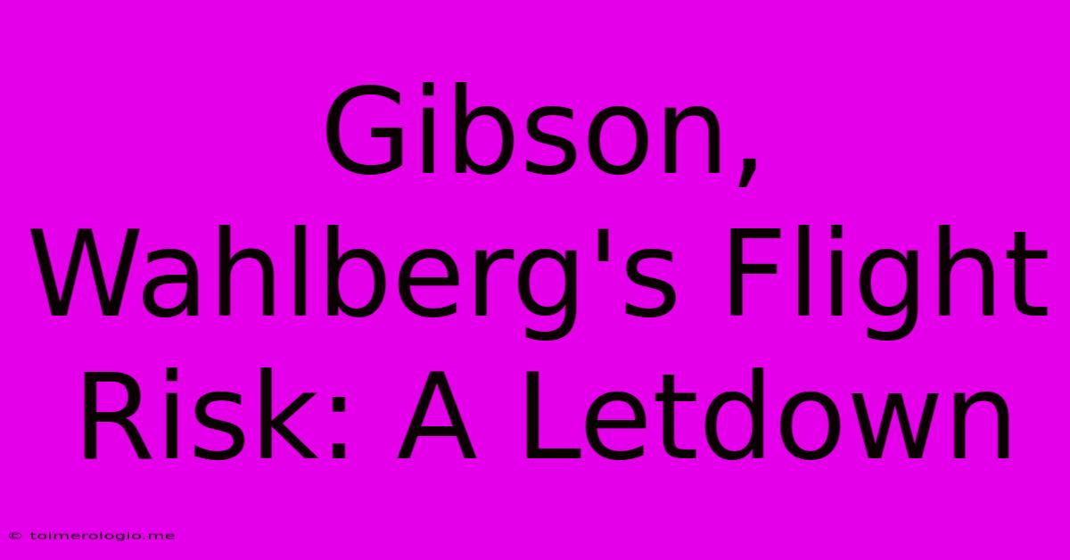 Gibson, Wahlberg's Flight Risk: A Letdown