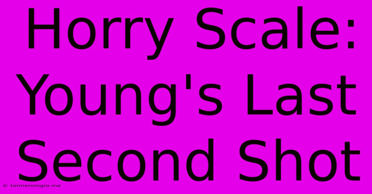 Horry Scale: Young's Last Second Shot