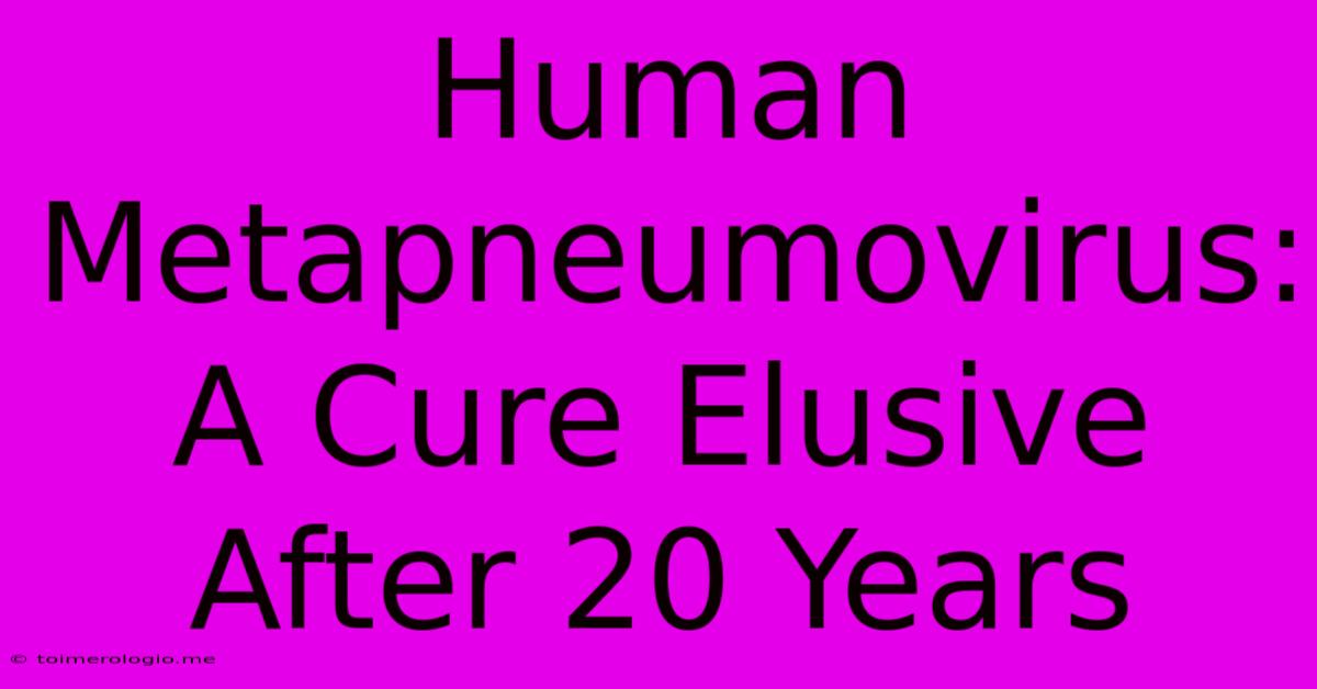 Human Metapneumovirus: A Cure Elusive After 20 Years