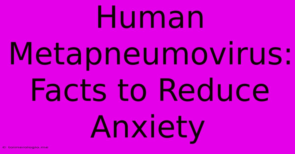 Human Metapneumovirus:  Facts To Reduce Anxiety