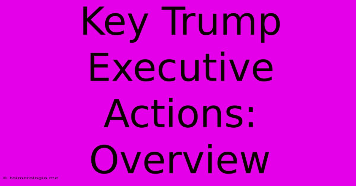 Key Trump Executive Actions: Overview