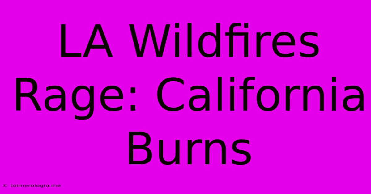 LA Wildfires Rage: California Burns