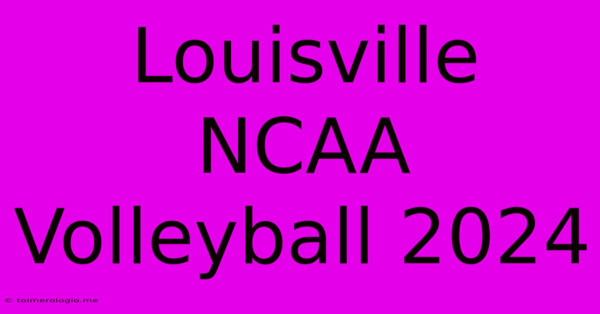 Louisville NCAA Volleyball 2024