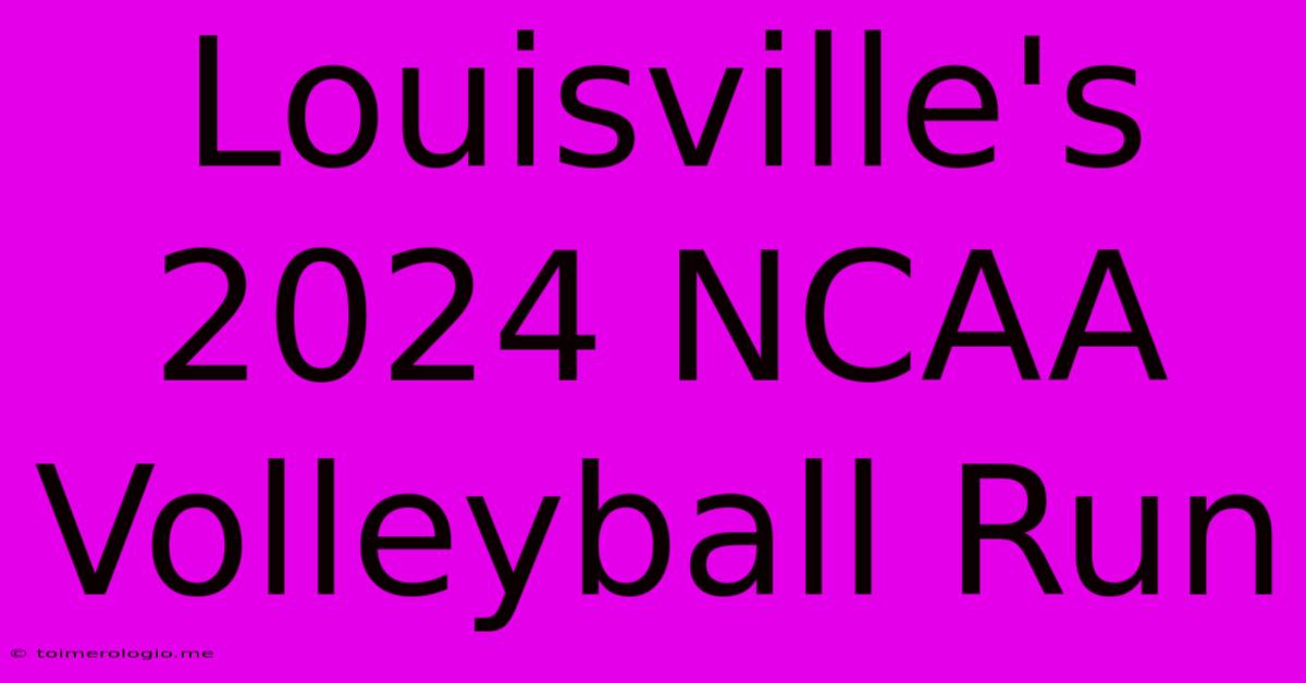 Louisville's 2024 NCAA Volleyball Run