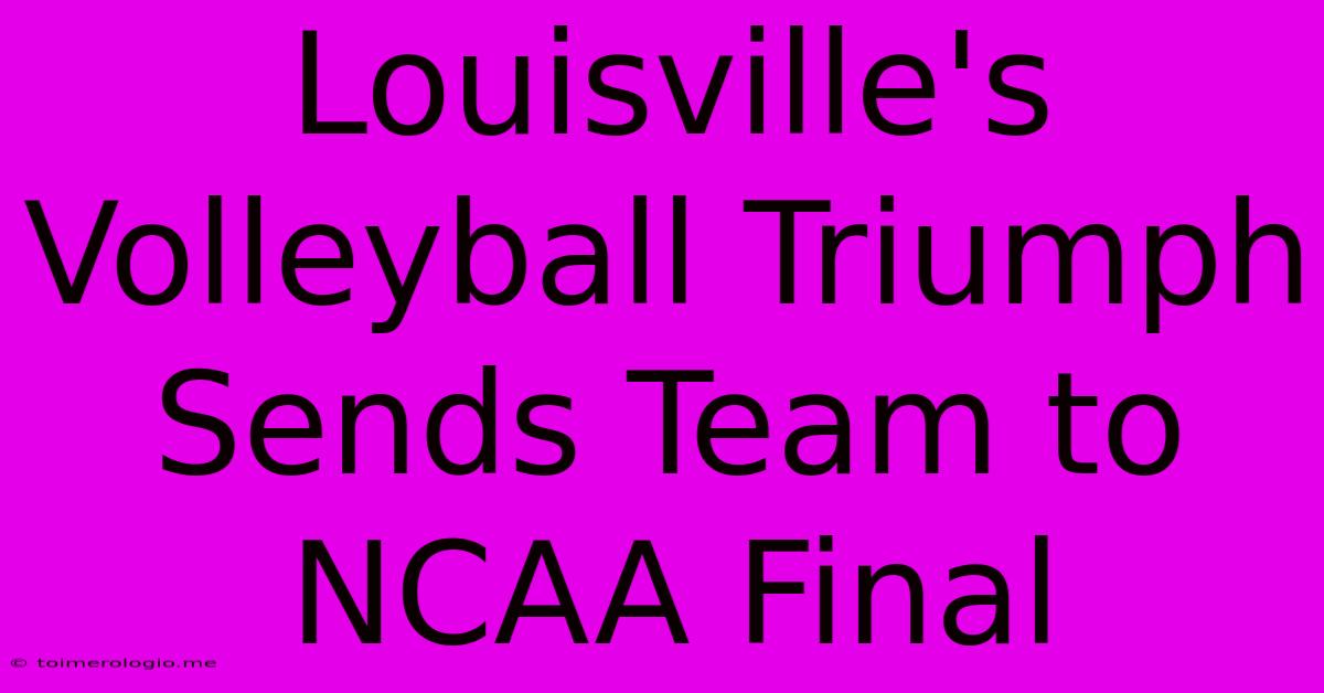 Louisville's Volleyball Triumph Sends Team To NCAA Final