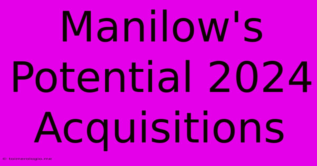 Manilow's Potential 2024 Acquisitions