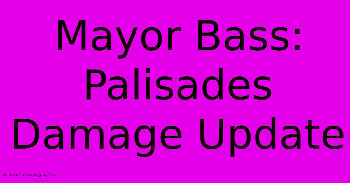 Mayor Bass: Palisades Damage Update