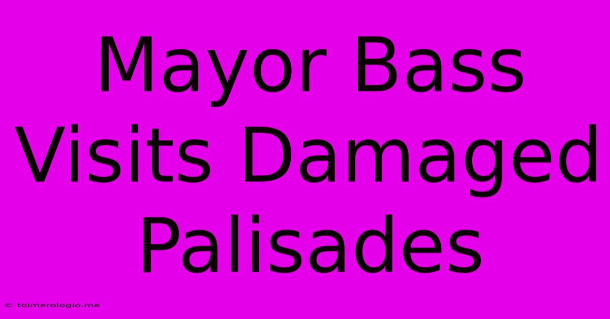 Mayor Bass Visits Damaged Palisades