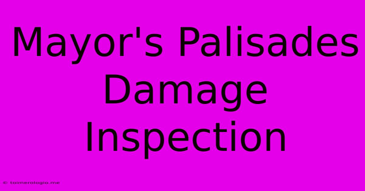 Mayor's Palisades Damage Inspection