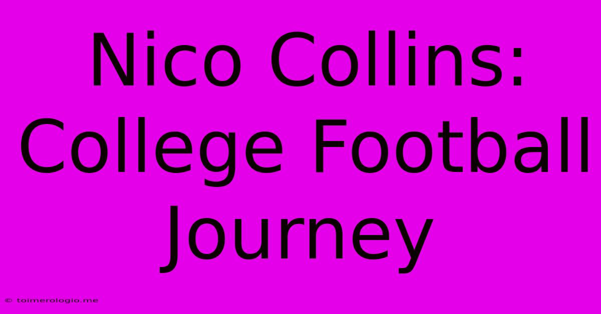 Nico Collins: College Football Journey