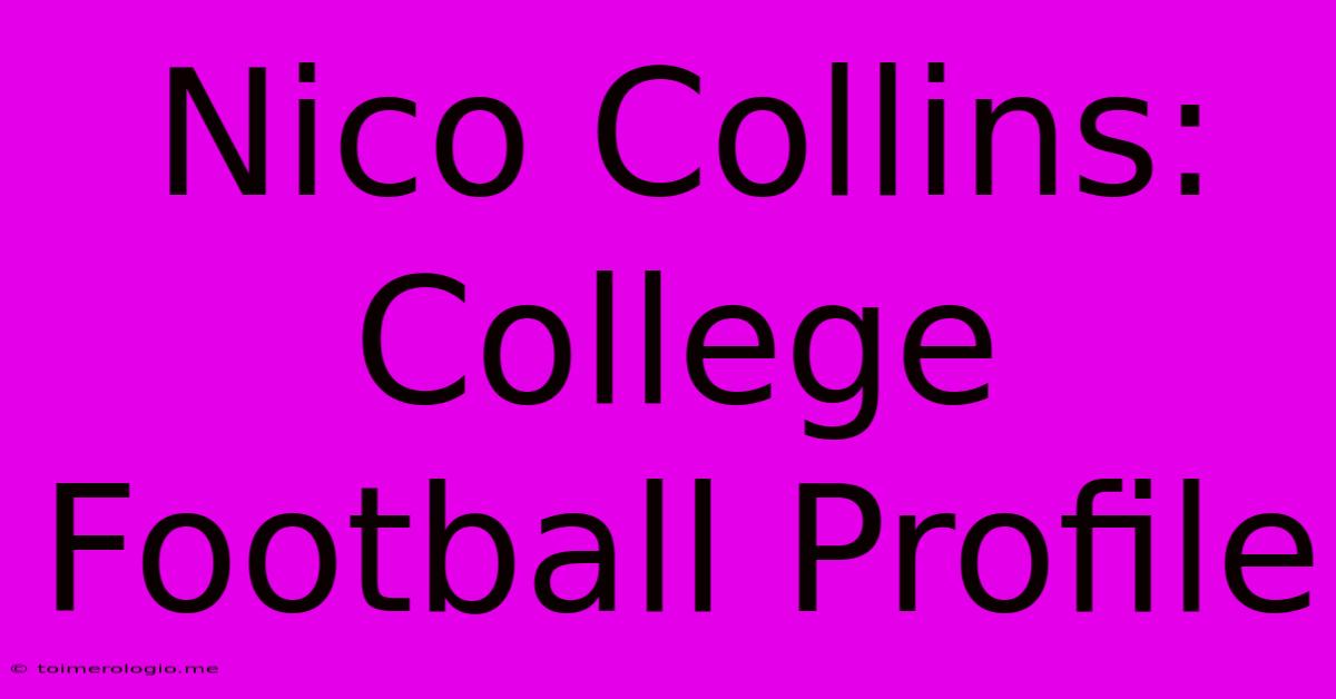 Nico Collins: College Football Profile