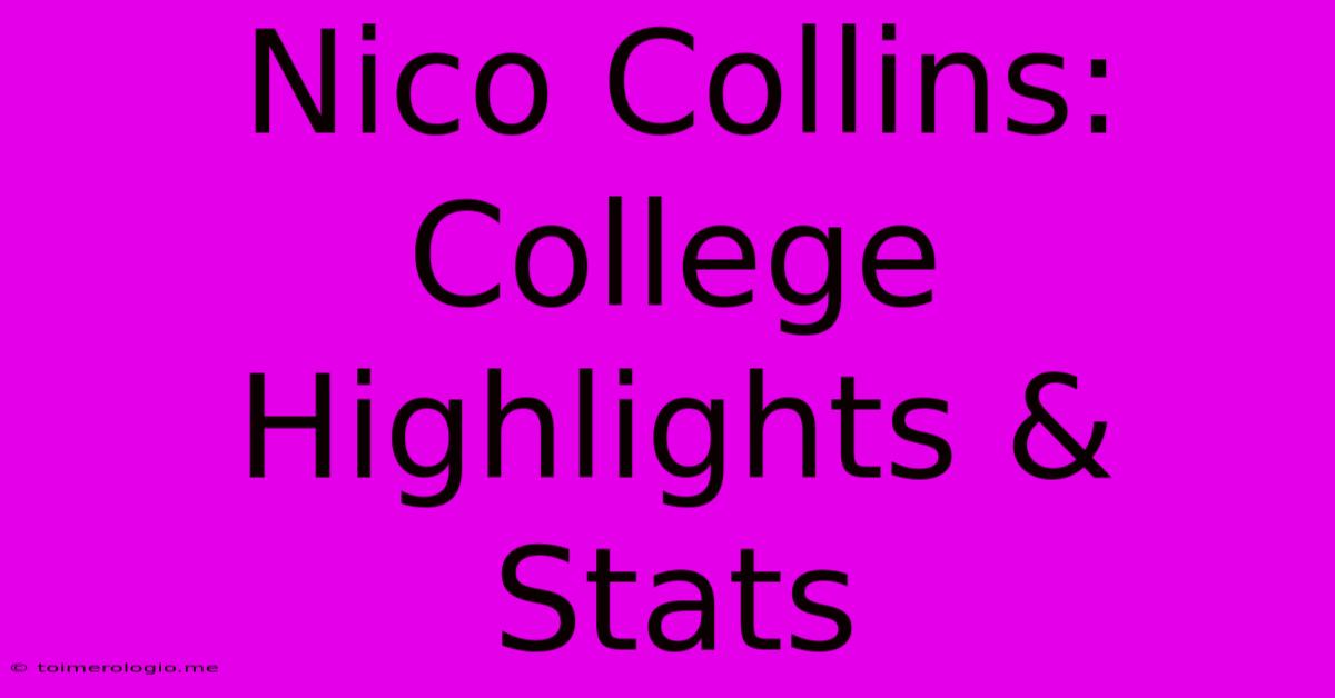 Nico Collins: College Highlights & Stats