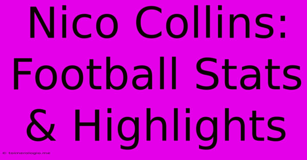 Nico Collins: Football Stats & Highlights