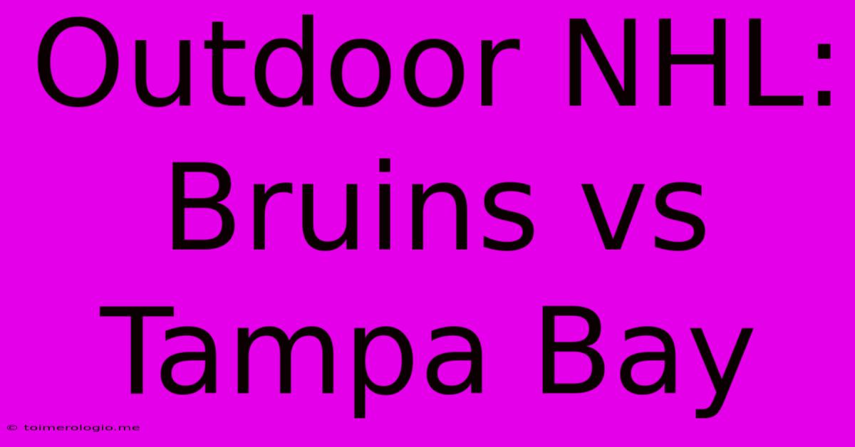 Outdoor NHL: Bruins Vs Tampa Bay