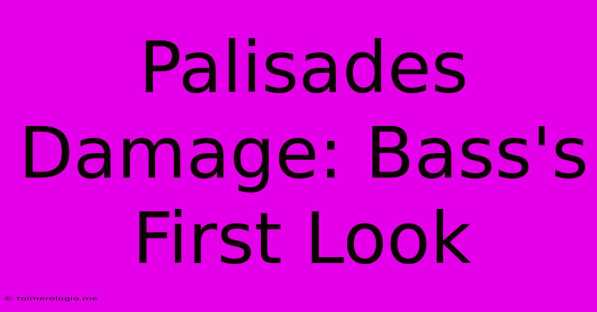 Palisades Damage: Bass's First Look