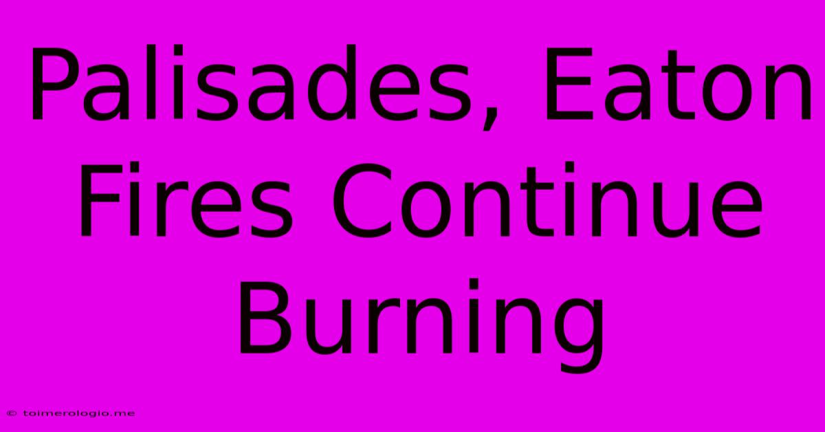 Palisades, Eaton Fires Continue Burning