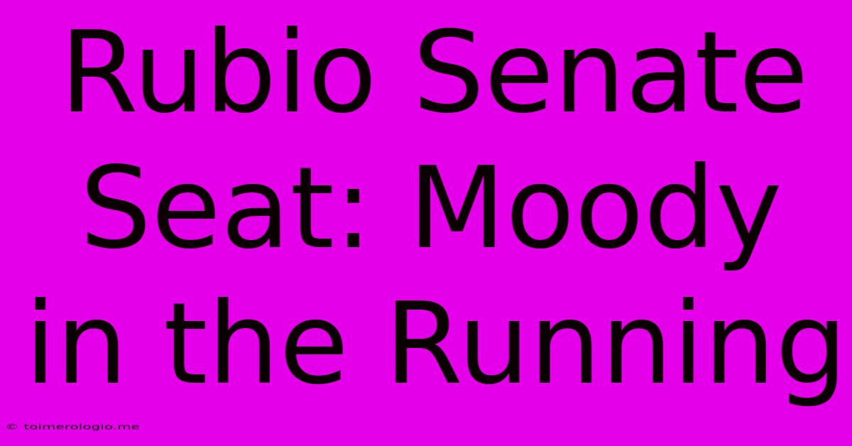 Rubio Senate Seat: Moody In The Running