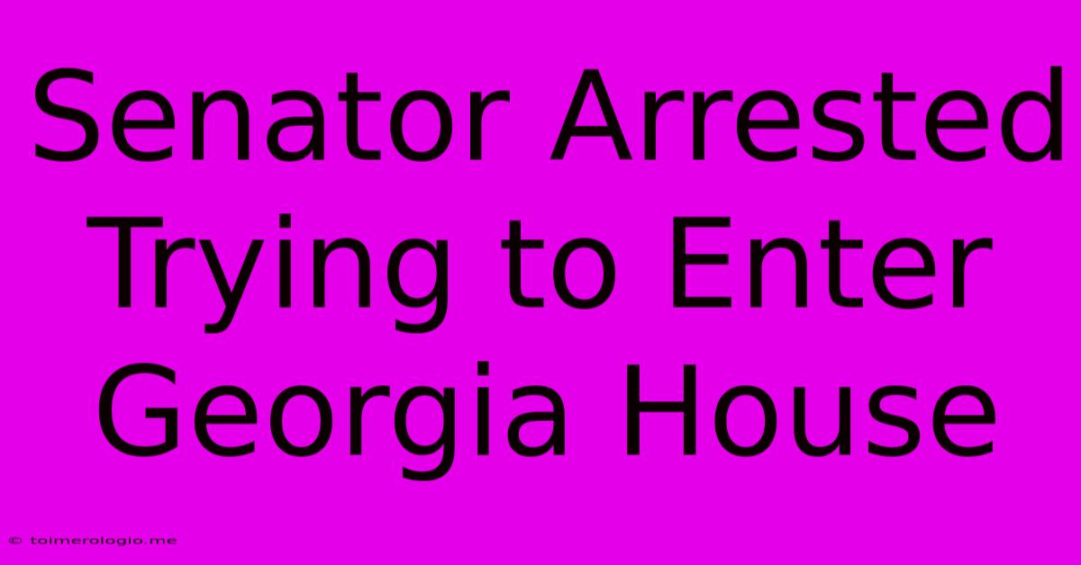 Senator Arrested Trying To Enter Georgia House