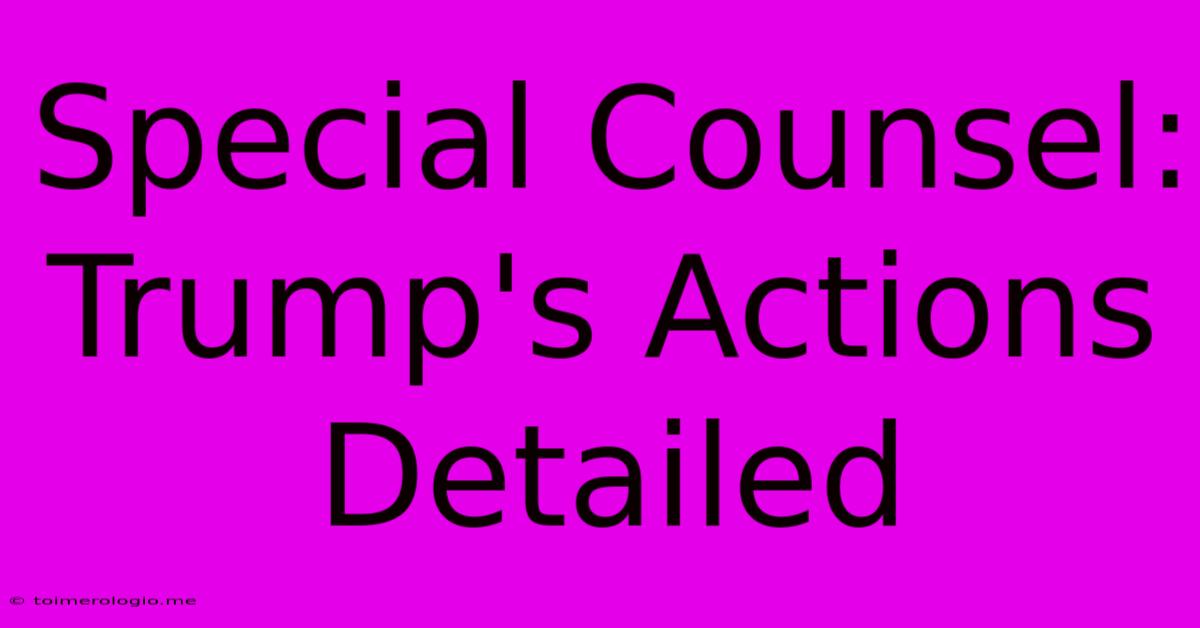 Special Counsel: Trump's Actions Detailed