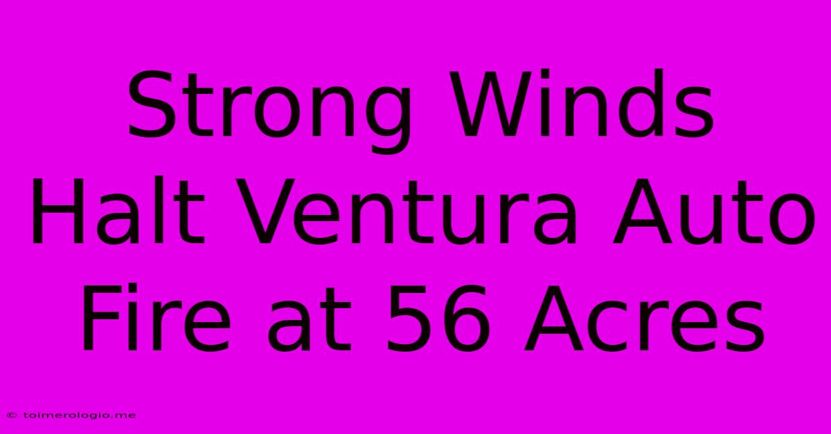 Strong Winds Halt Ventura Auto Fire At 56 Acres