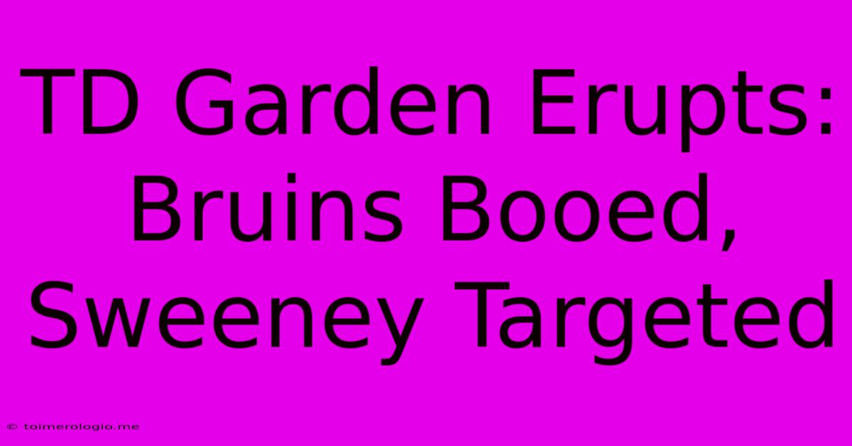 TD Garden Erupts: Bruins Booed, Sweeney Targeted